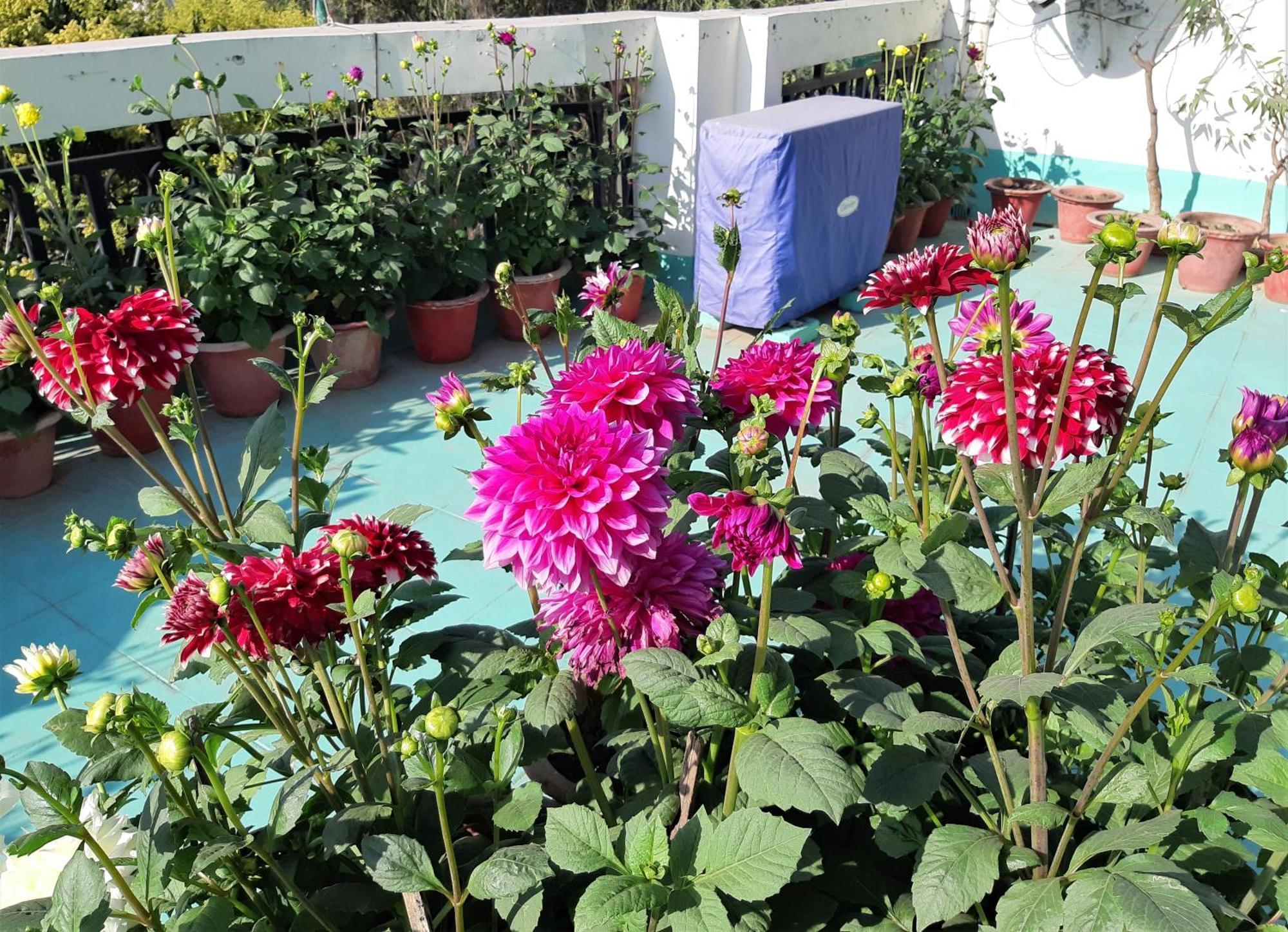 Fully Furnished Ish, Atithya Homestay With Various Amenities And Free Services In Lucknow, India Extérieur photo
